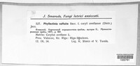 Image Associated With the Occurence